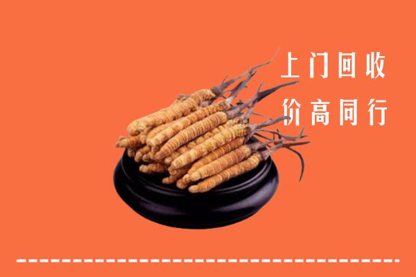 高价求购：濮阳县回收散虫草