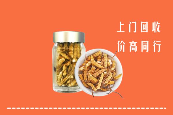 濮阳县回收冬虫夏草