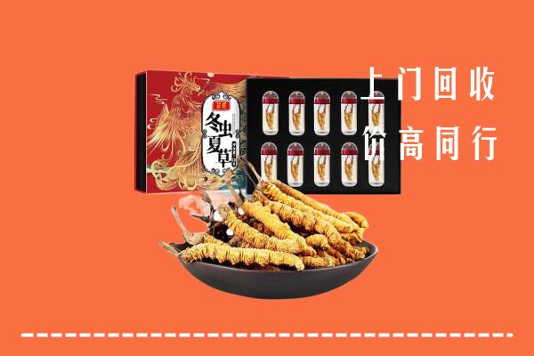濮阳县回收虫草